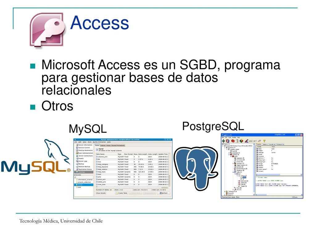 Access Microsoft Access es un SGBD, programa para gestionar bases de datos relacionales. Otros. PostgreSQL.