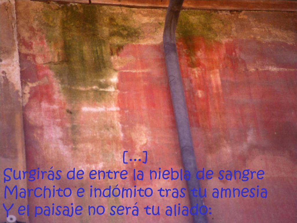 [...] Surgirás de entre la niebla de sangre Marchito e indómito tras tu amnesia Y el paisaje no será tu aliado: