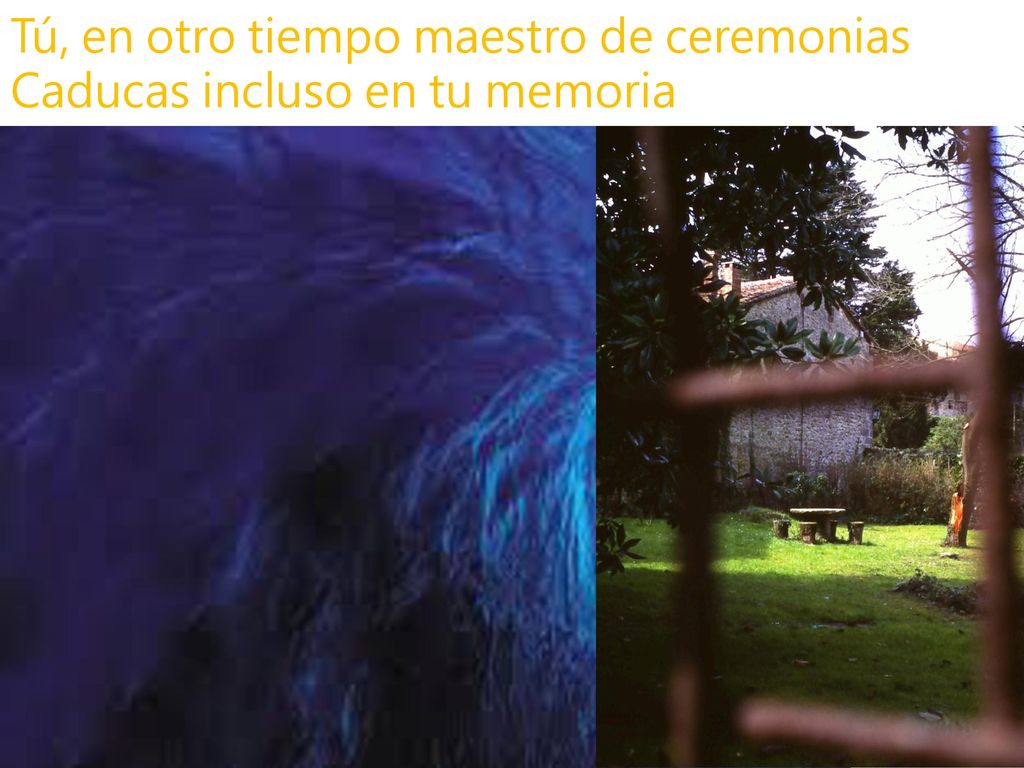Tú, en otro tiempo maestro de ceremonias Caducas incluso en tu memoria