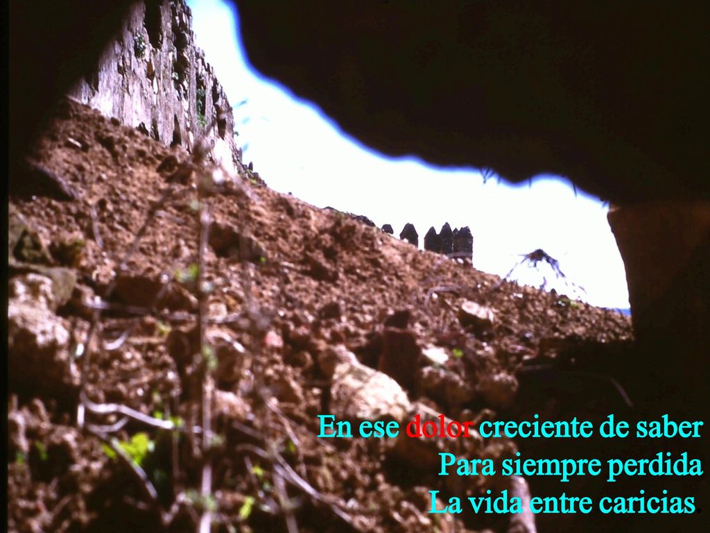 En ese dolor creciente de saber Para siempre perdida La vida entre caricias.