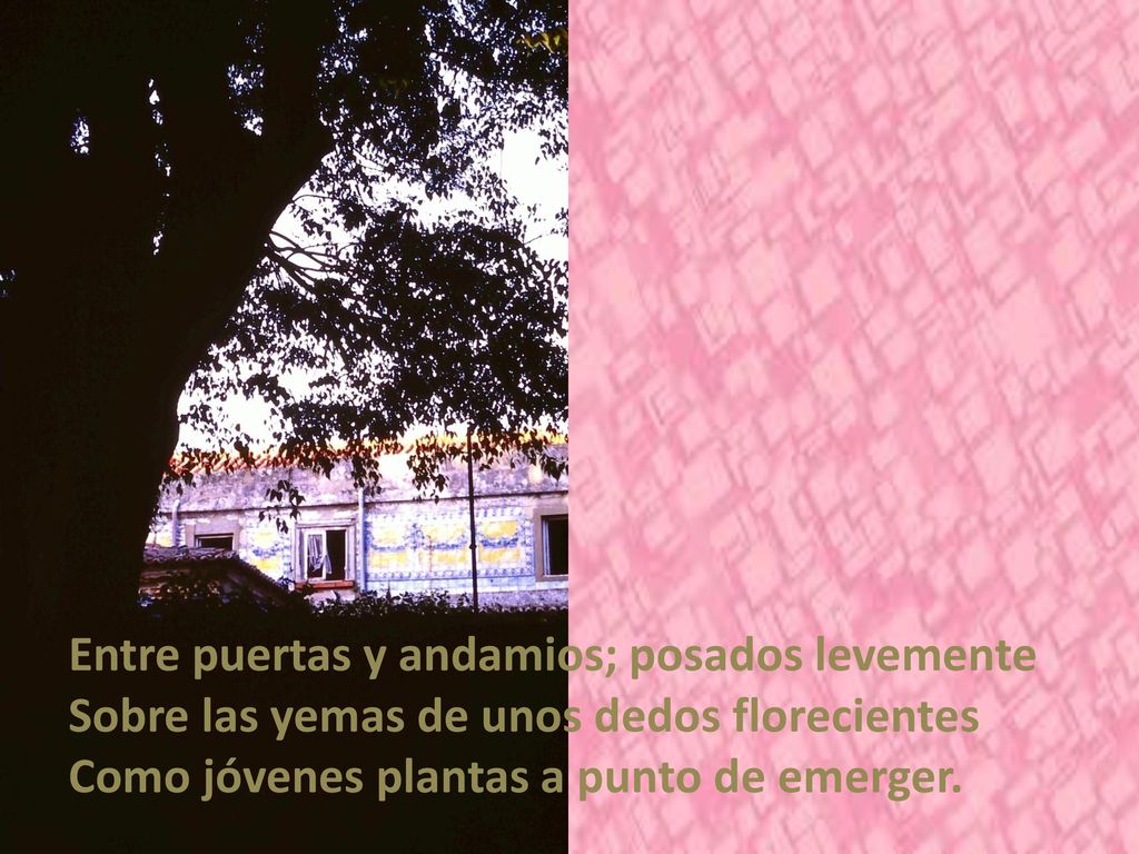 Entre puertas y andamios; posados levemente Sobre las yemas de unos dedos florecientes Como jóvenes plantas a punto de emerger.