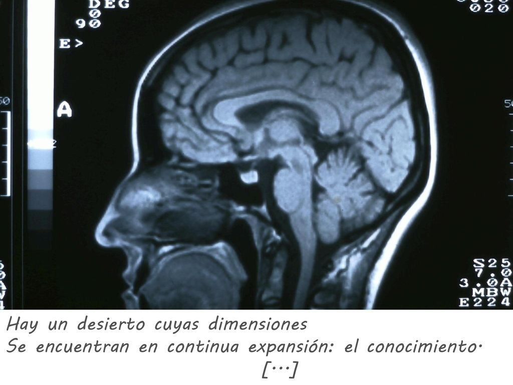Hay un desierto cuyas dimensiones Se encuentran en continua expansión: el conocimiento. [...]
