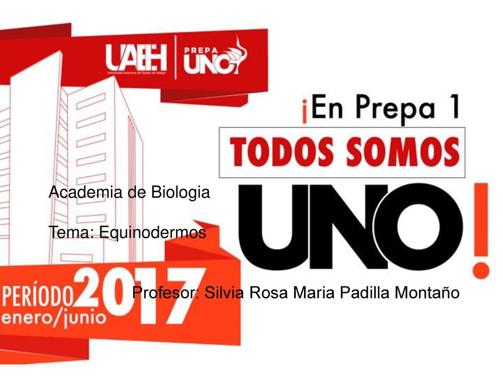 Academia de Biologia Tema: Equinodermos Profesor: Silvia Rosa Maria Padilla Montaño