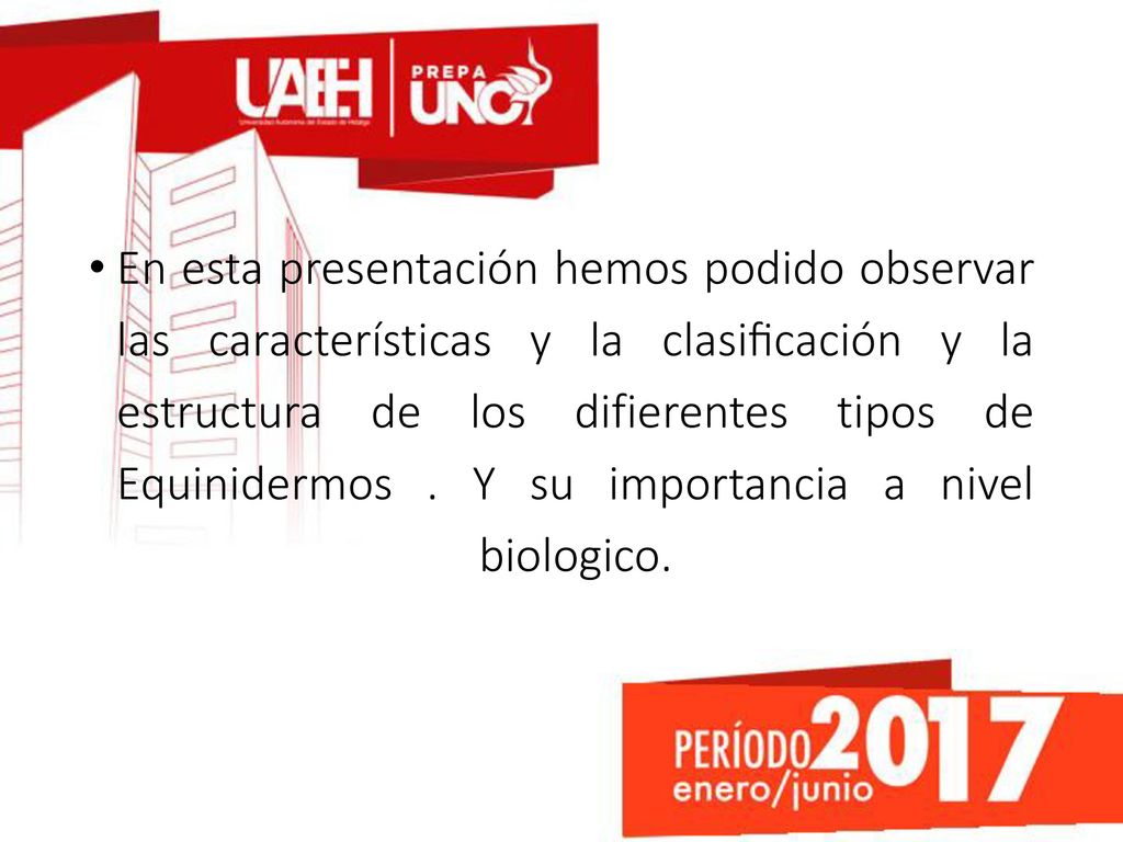 En esta presentación hemos podido observar las características y la clasificación y la estructura de los difierentes tipos de Equinidermos .