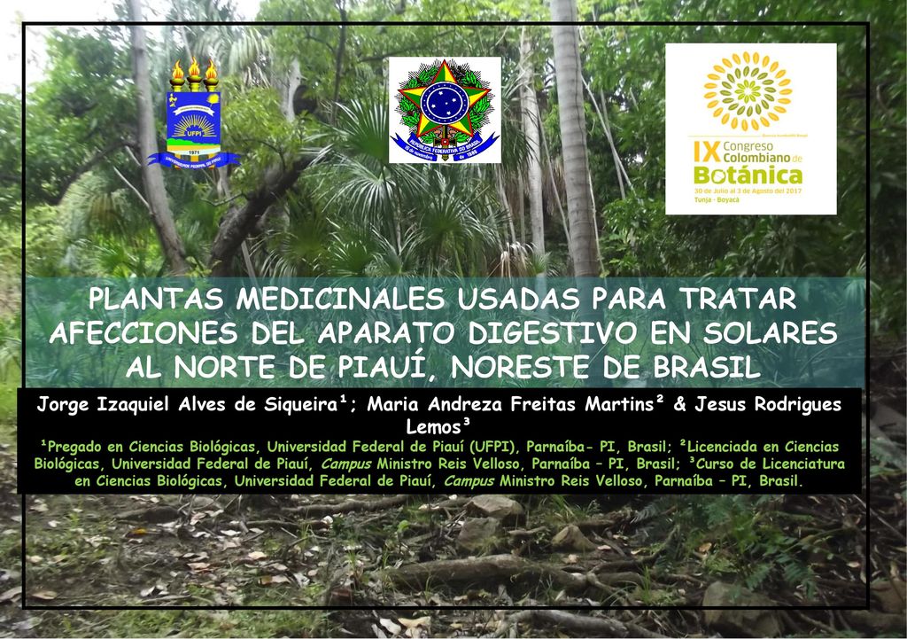 PLANTAS MEDICINALES USADAS PARA TRATAR AFECCIONES DEL APARATO DIGESTIVO EN SOLARES AL NORTE DE PIAUÍ, NORESTE DE BRASIL
