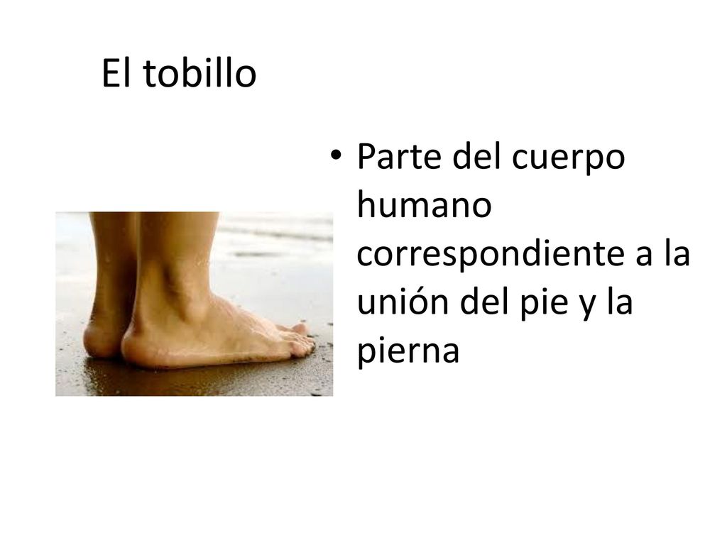 El tobillo Parte del cuerpo humano correspondiente a la unión del pie y la pierna