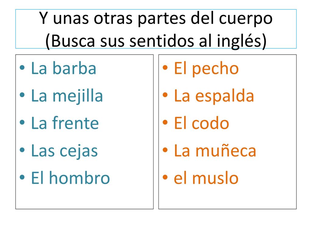 Y unas otras partes del cuerpo (Busca sus sentidos al inglés)