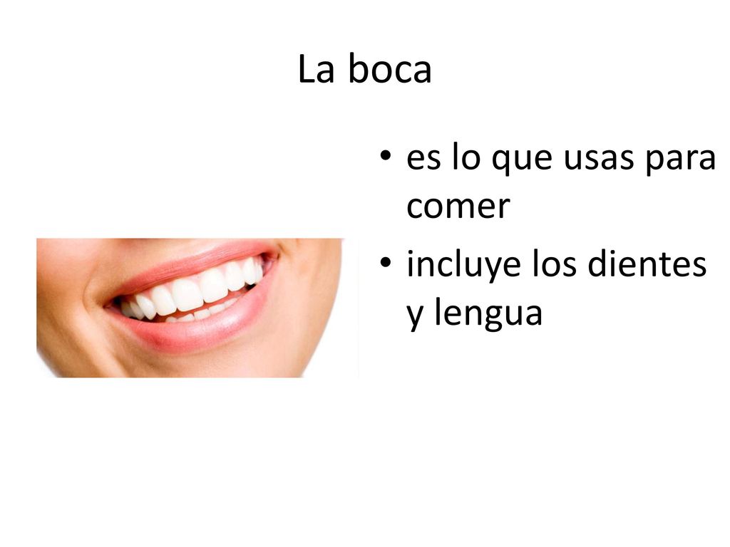 La boca es lo que usas para comer incluye los dientes y lengua