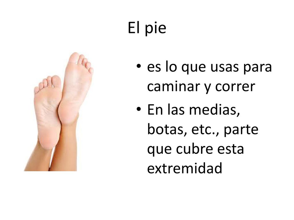 El pie es lo que usas para caminar y correr