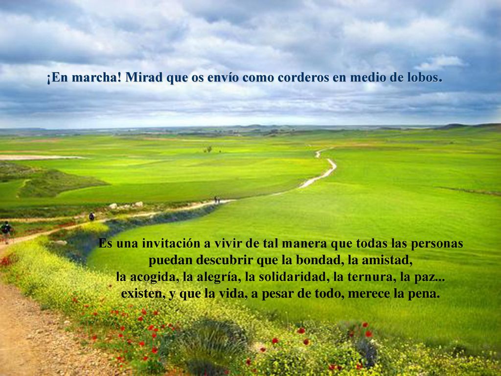 ¡En marcha! Mirad que os envío como corderos en medio de lobos.