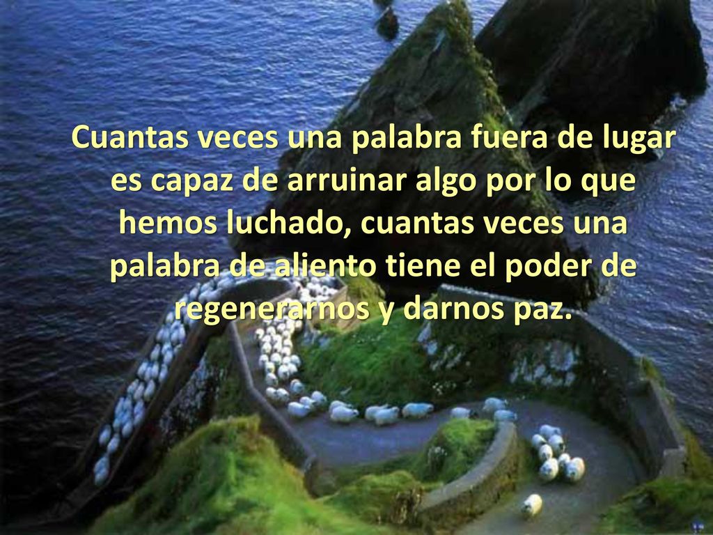 Cuantas veces una palabra fuera de lugar es capaz de arruinar algo por lo que hemos luchado, cuantas veces una palabra de aliento tiene el poder de regenerarnos y darnos paz.
