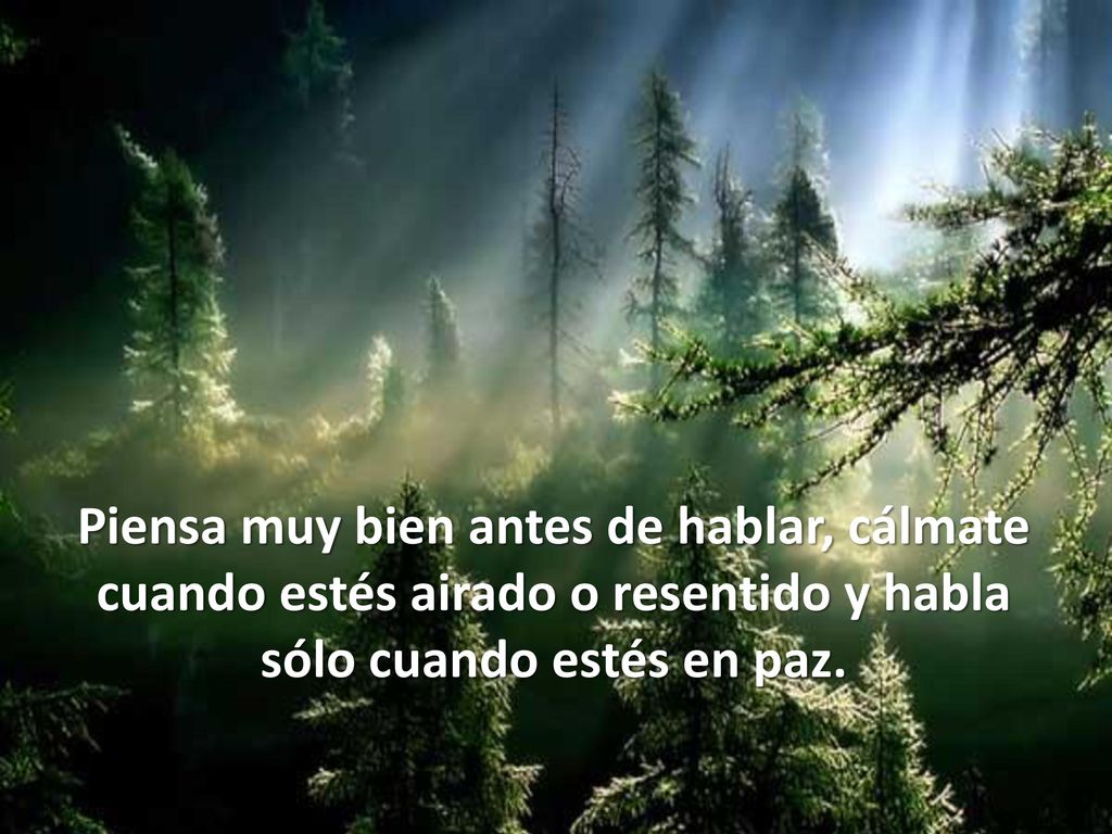 Piensa muy bien antes de hablar, cálmate cuando estés airado o resentido y habla sólo cuando estés en paz.