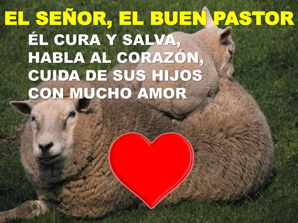 EL SEÑOR, EL BUEN PASTOR ÉL CURA Y SALVA, HABLA AL CORAZÓN, CUIDA DE SUS HIJOS CON MUCHO AMOR