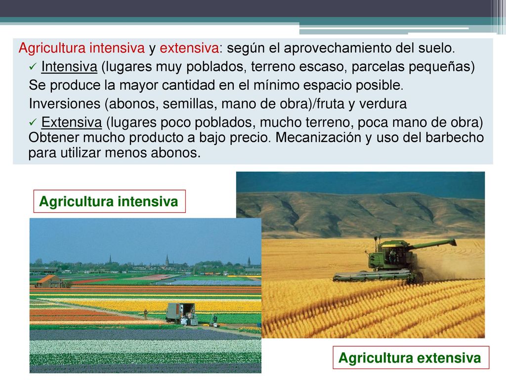 Agricultura intensiva y extensiva: según el aprovechamiento del suelo.