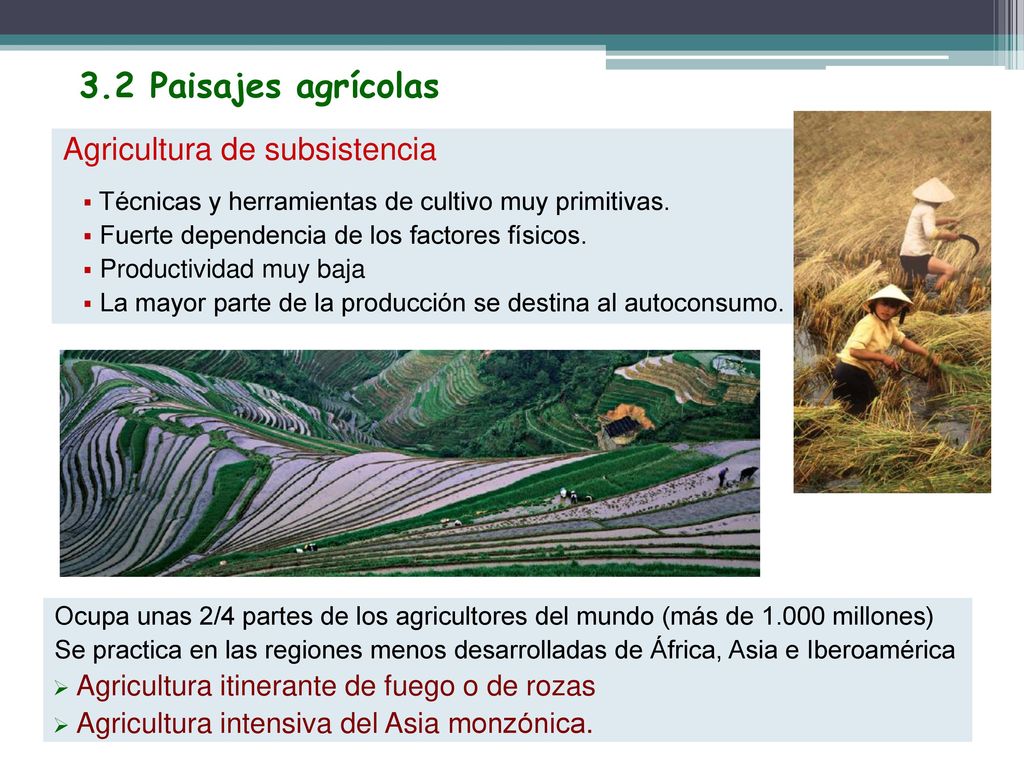 3.2 Paisajes agrícolas Agricultura de subsistencia