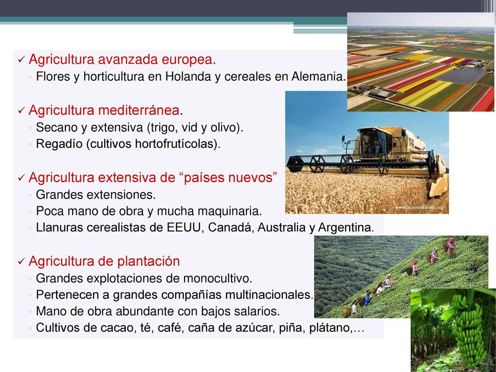 Agricultura avanzada europea.
