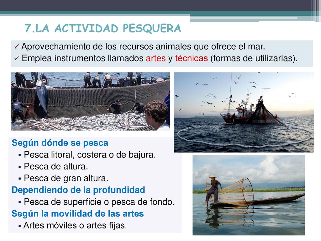 7.LA ACTIVIDAD PESQUERA Aprovechamiento de los recursos animales que ofrece el mar.