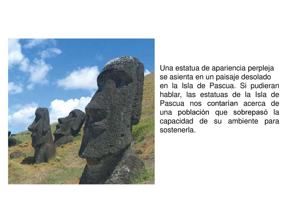 Una estatua de apariencia perpleja se asienta en un paisaje desolado