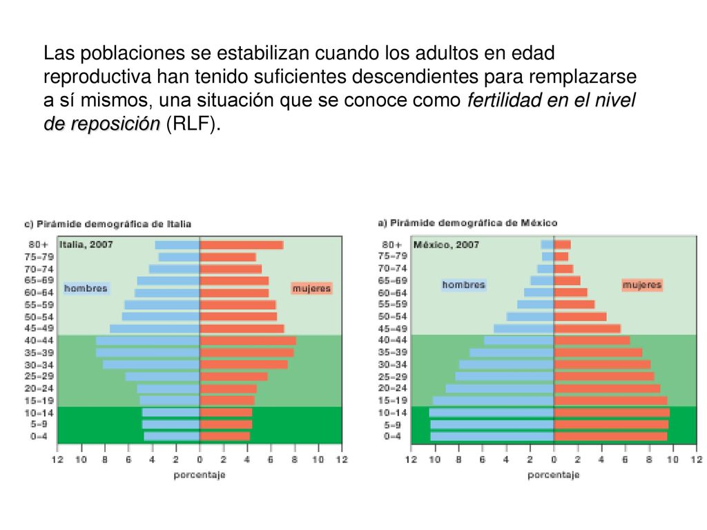 Las poblaciones se estabilizan cuando los adultos en edad reproductiva han tenido suficientes descendientes para remplazarse a sí mismos, una situación que se conoce como fertilidad en el nivel de reposición (RLF).
