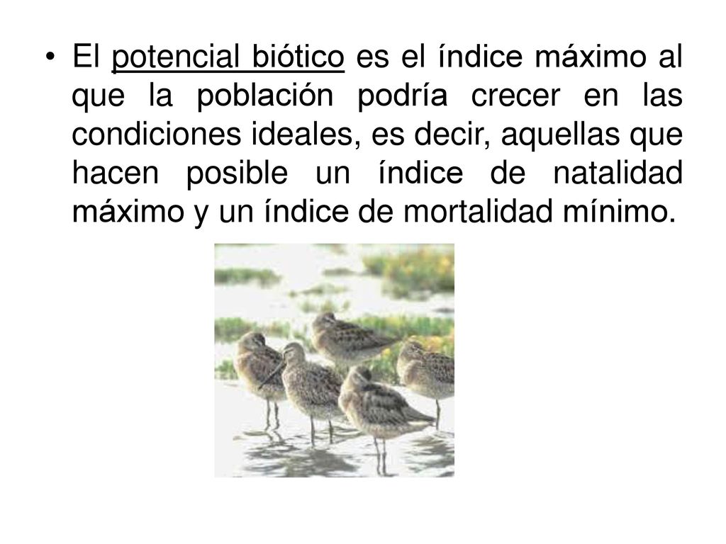 El potencial biótico es el índice máximo al que la población podría crecer en las condiciones ideales, es decir, aquellas que hacen posible un índice de natalidad máximo y un índice de mortalidad mínimo.