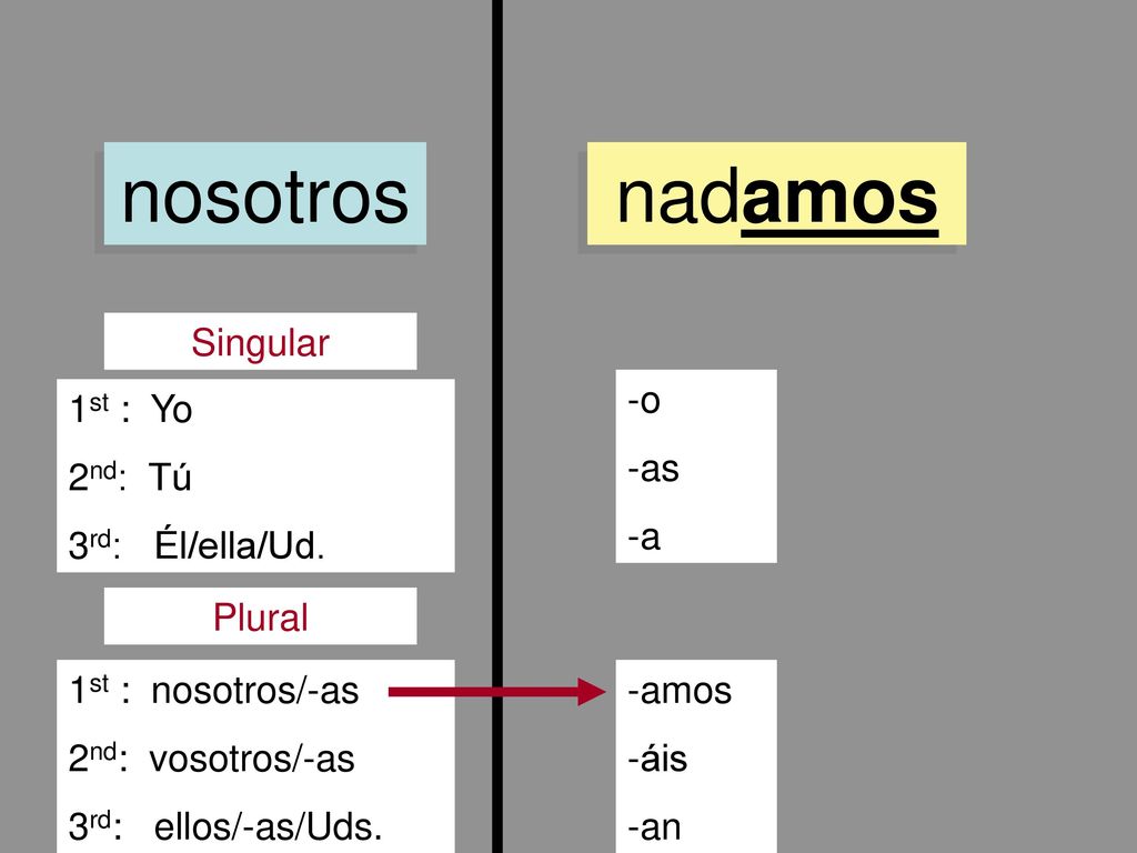 nosotros nadamos Singular -o -as -a 1st : Yo 2nd: Tú 3rd: Él/ella/Ud.