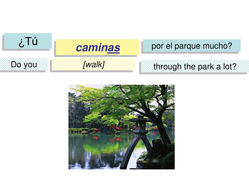 ¿Tú caminas por el parque mucho Do you [walk] through the park a lot