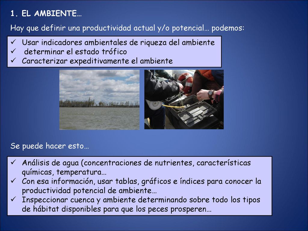 1. EL AMBIENTE… Hay que definir una productividad actual y/o potencial… podemos: Usar indicadores ambientales de riqueza del ambiente.