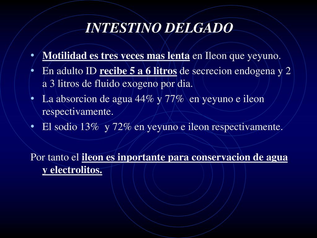 INTESTINO DELGADO Motilidad es tres veces mas lenta en Ileon que yeyuno.
