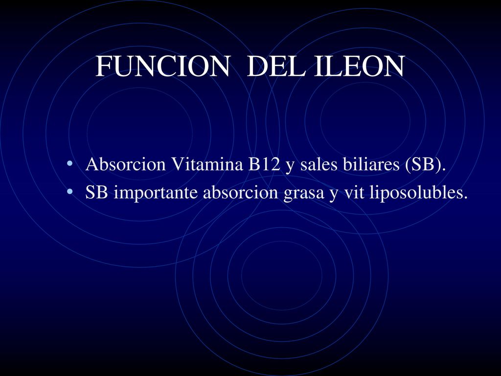 FUNCION DEL ILEON Absorcion Vitamina B12 y sales biliares (SB).