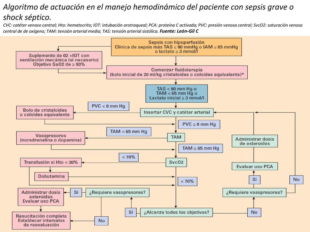 Algoritmo de actuación en el manejo hemodinámico del paciente con sepsis grave o shock séptico.