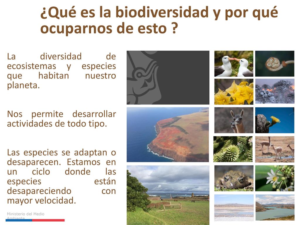 ¿Qué es la biodiversidad y por qué ocuparnos de esto