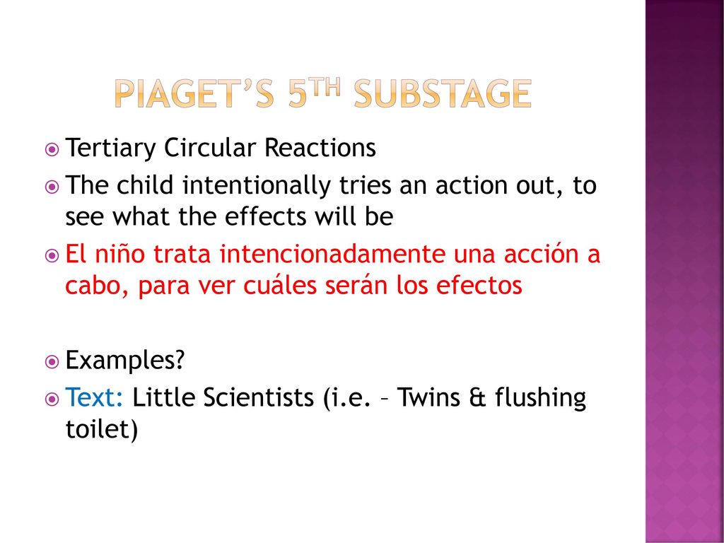 Piaget’s 5th substage Tertiary Circular Reactions