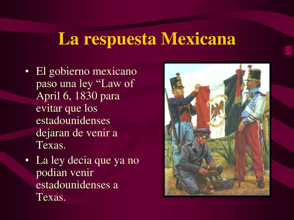 La respuesta Mexicana El gobierno mexicano paso una ley Law of April 6, 1830 para evitar que los estadounidenses dejaran de venir a Texas.