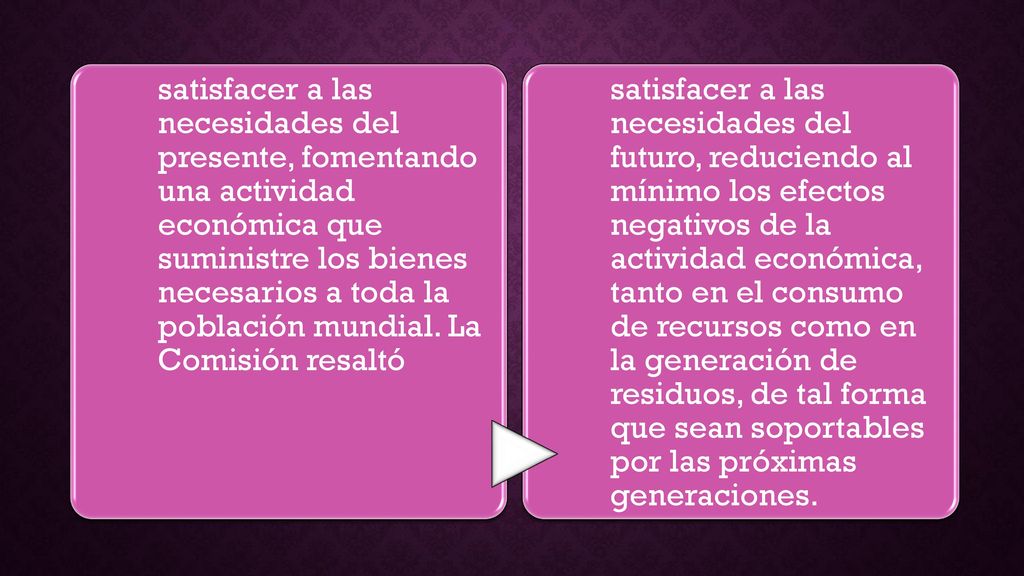 satisfacer a las necesidades del presente, fomentando una actividad económica que suministre los bienes necesarios a toda la población mundial. La Comisión resaltó