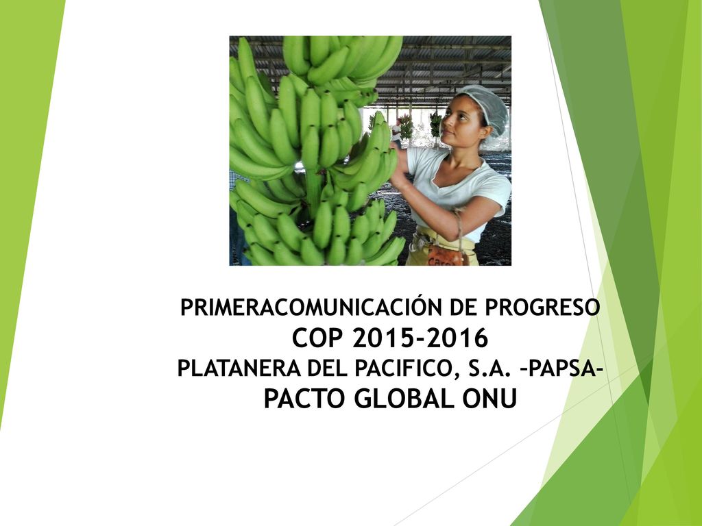 PRIMERACOMUNICACIÓN DE PROGRESO COP PLATANERA DEL PACIFICO, S.A. –PAPSA- PACTO GLOBAL ONU