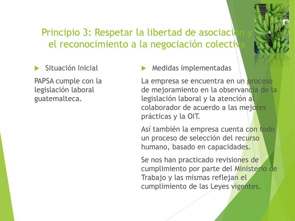 Principio 3: Respetar la libertad de asociación y el reconocimiento a la negociación colectiva