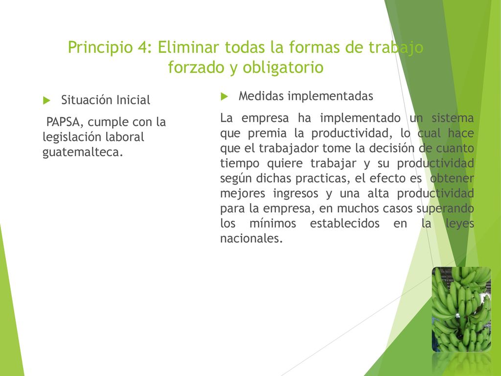 Principio 4: Eliminar todas la formas de trabajo forzado y obligatorio