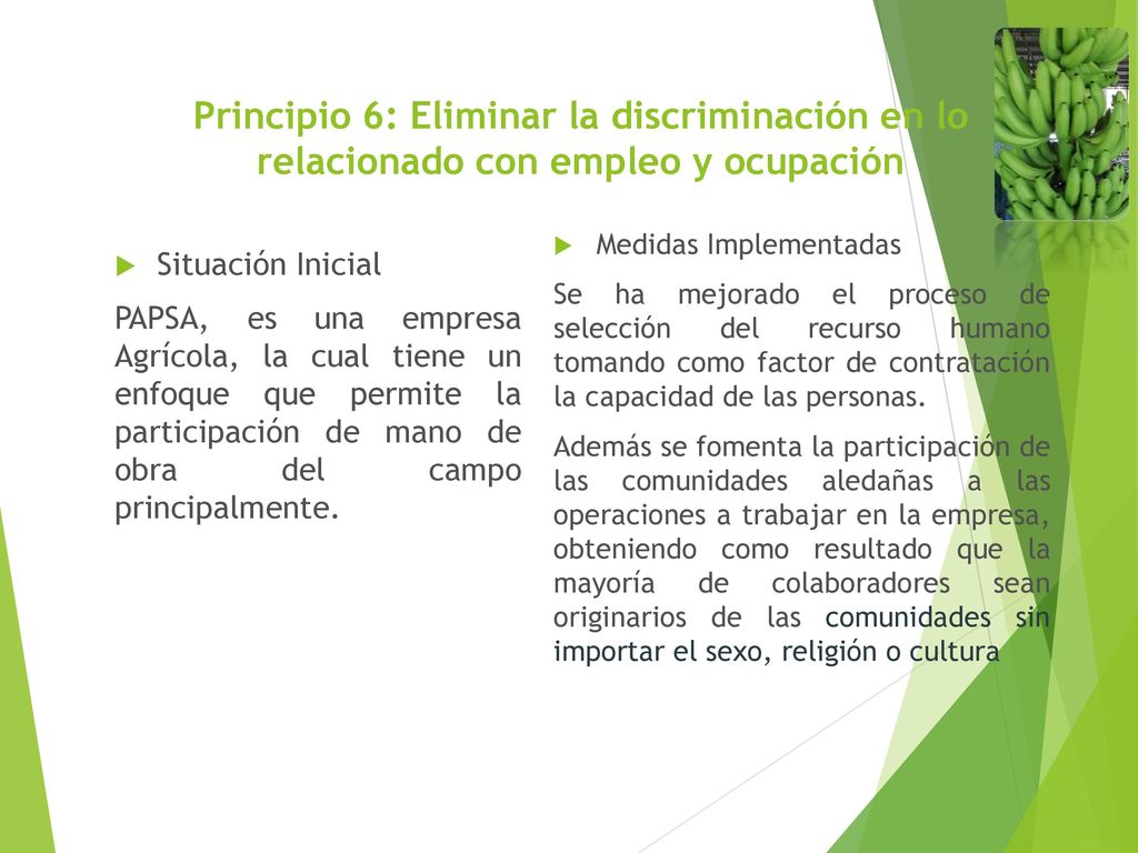 Principio 6: Eliminar la discriminación en lo relacionado con empleo y ocupación