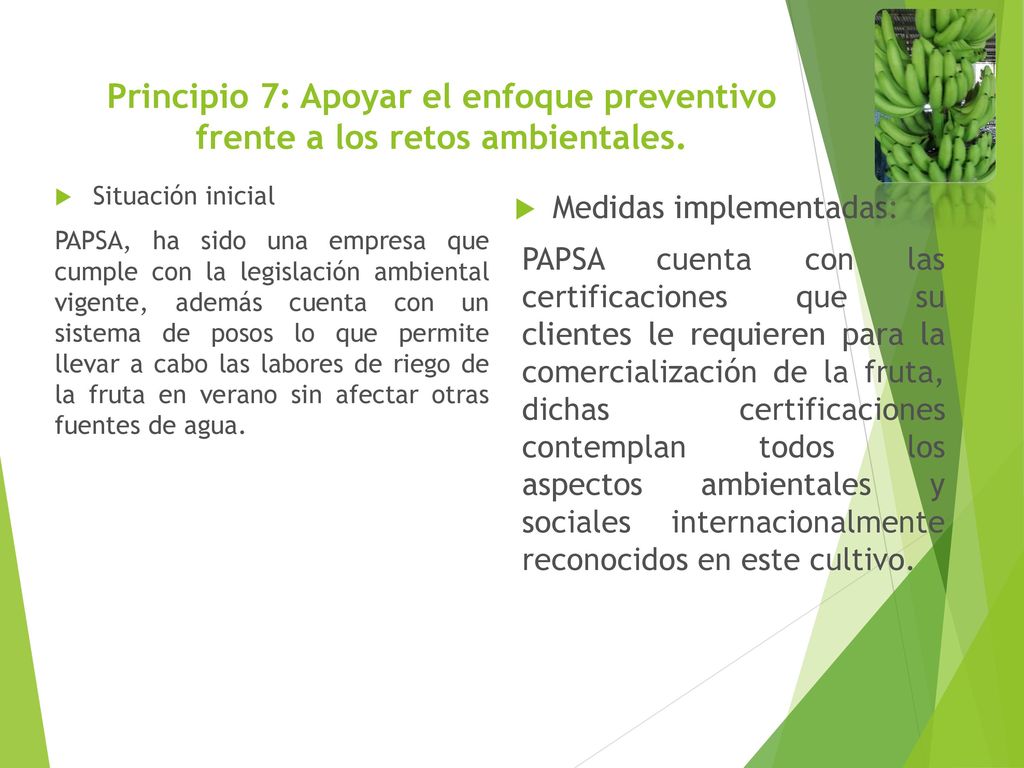 Principio 7: Apoyar el enfoque preventivo frente a los retos ambientales.