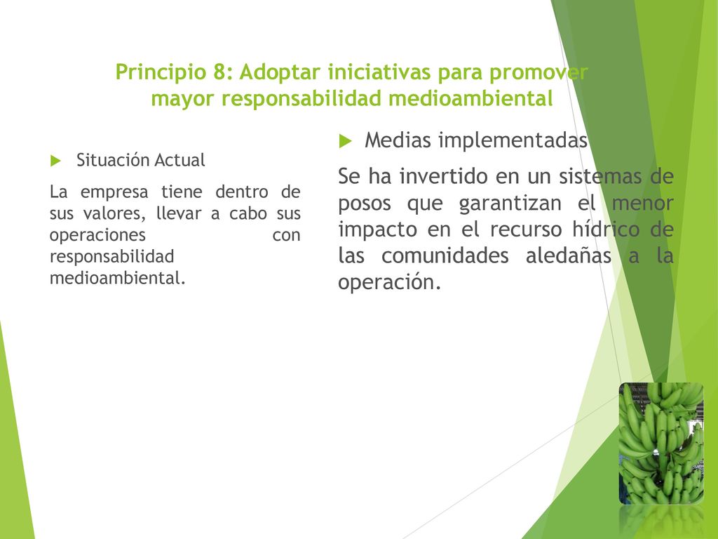 Principio 8: Adoptar iniciativas para promover mayor responsabilidad medioambiental