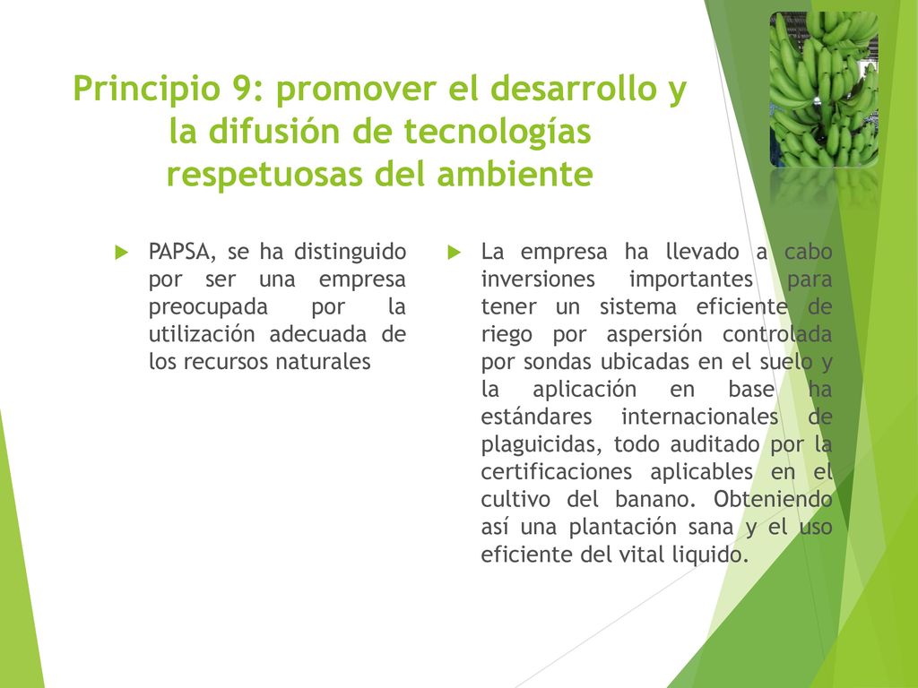 Principio 9: promover el desarrollo y la difusión de tecnologías respetuosas del ambiente