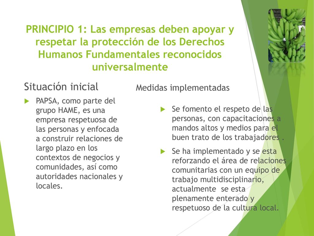 PRINCIPIO 1: Las empresas deben apoyar y respetar la protección de los Derechos Humanos Fundamentales reconocidos universalmente