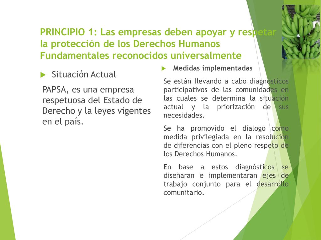 PRINCIPIO 1: Las empresas deben apoyar y respetar la protección de los Derechos Humanos Fundamentales reconocidos universalmente