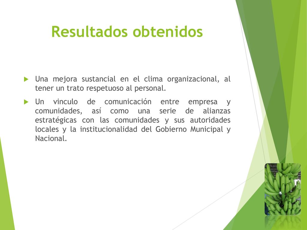 Resultados obtenidos Una mejora sustancial en el clima organizacional, al tener un trato respetuoso al personal.