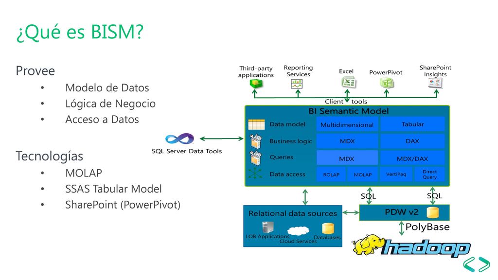 ¿Qué es BISM Provee Tecnologías Modelo de Datos Lógica de Negocio