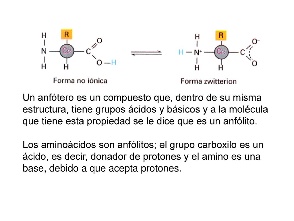 Un anfótero es un compuesto que, dentro de su misma estructura, tiene grupos ácidos y básicos y a la molécula que tiene esta propiedad se le dice que es un anfólito.