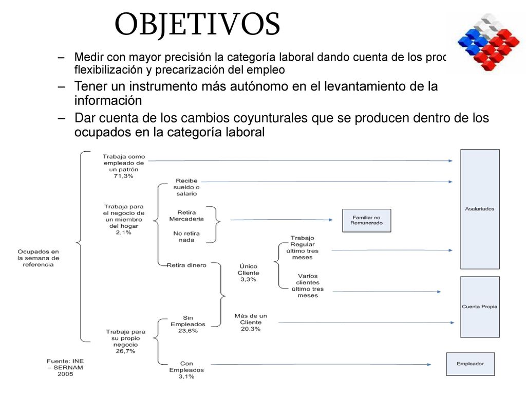 OBJETIVOS Medir con mayor precisión la categoría laboral dando cuenta de los procesos de flexibilización y precarización del empleo.