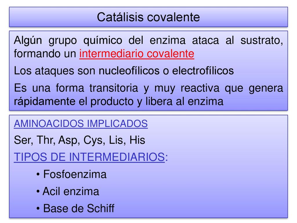 Catálisis covalente Algún grupo químico del enzima ataca al sustrato, formando un intermediario covalente.