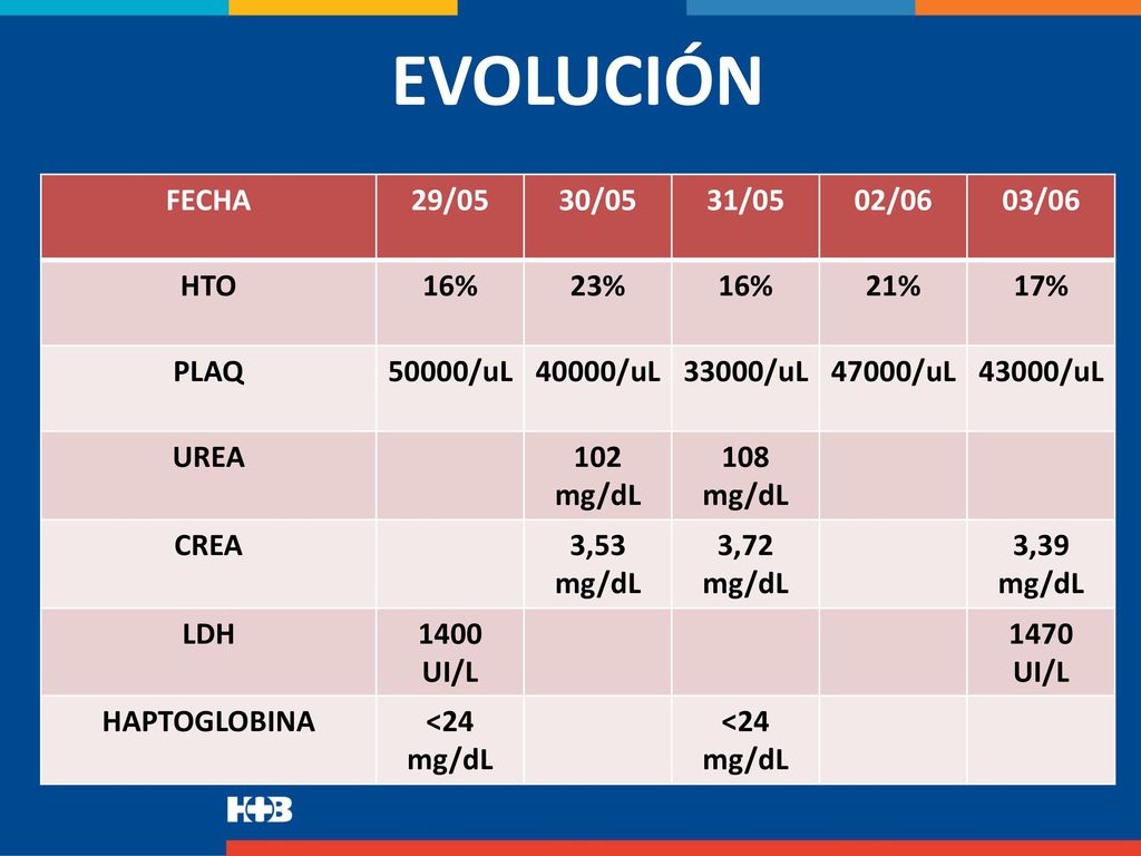 EVOLUCIÓN FECHA 29/05 30/05 31/05 02/06 03/06 HTO 16% 23% 21% 17% PLAQ