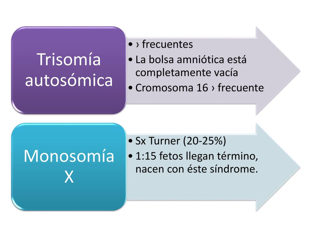 Trisomía autosómica › frecuentes. La bolsa amniótica está completamente vacía. Cromosoma 16 › frecuente.